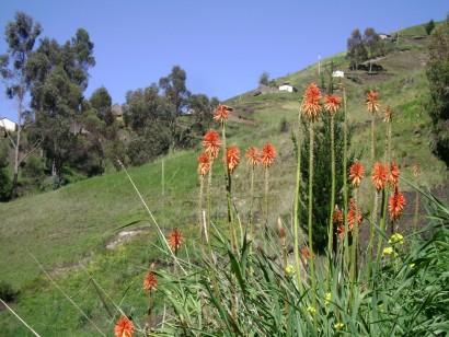 la Naturaleza